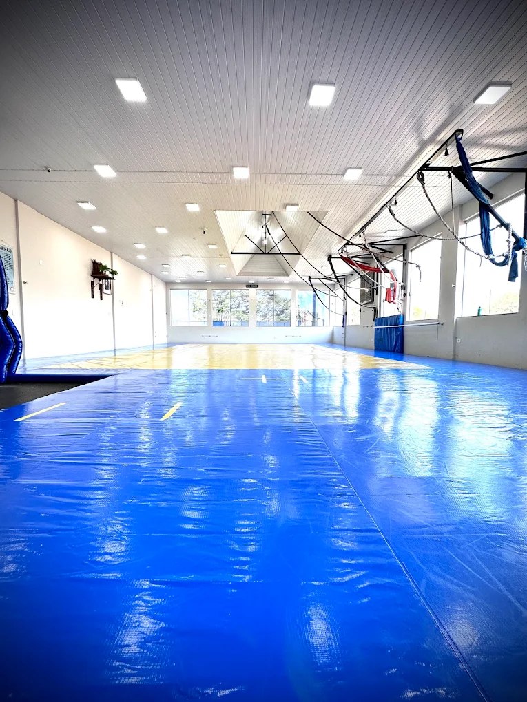 Tatami principal da AMCF